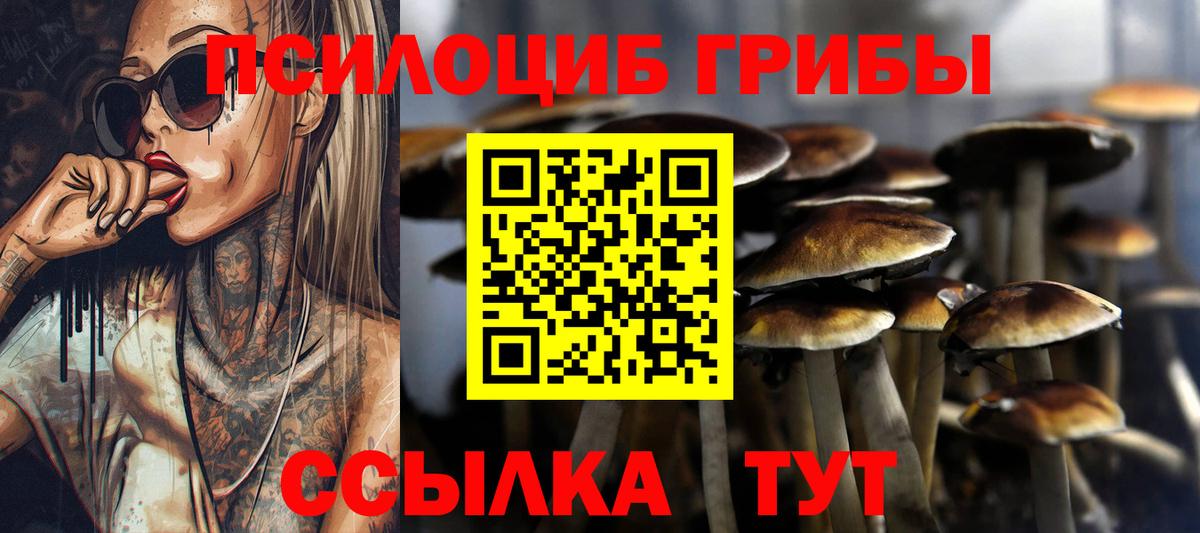 Галлюциногенные грибы MAGIC MUSHROOMS  Вход с VPN  Псилоцибиновые грибы Psilocybe  где продают   Ипатово 
