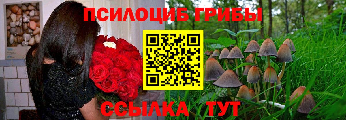 Псилоцибиновые грибы Cubensis Ипатово